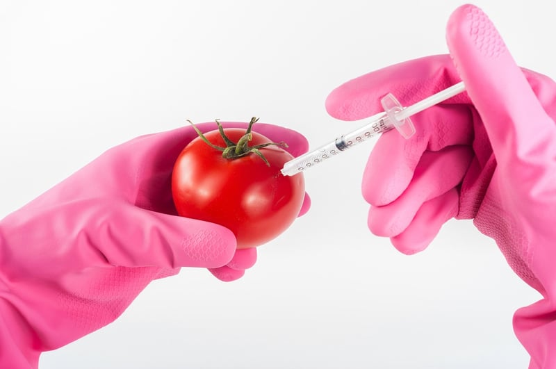 Biotechnology and Genetic Engineering